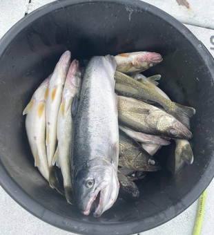 Fishing bliss on Lake Erie!